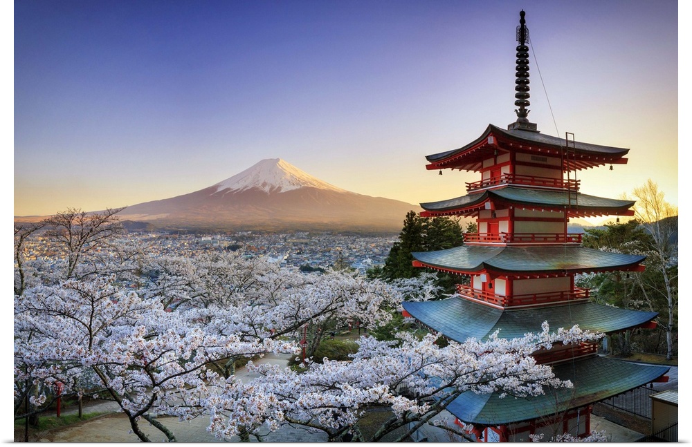 Japan, Yamanashi Prefecture, Fuji-Yoshida, Chureito Pagoda, Mt Fuji and Cherry Blossoms.