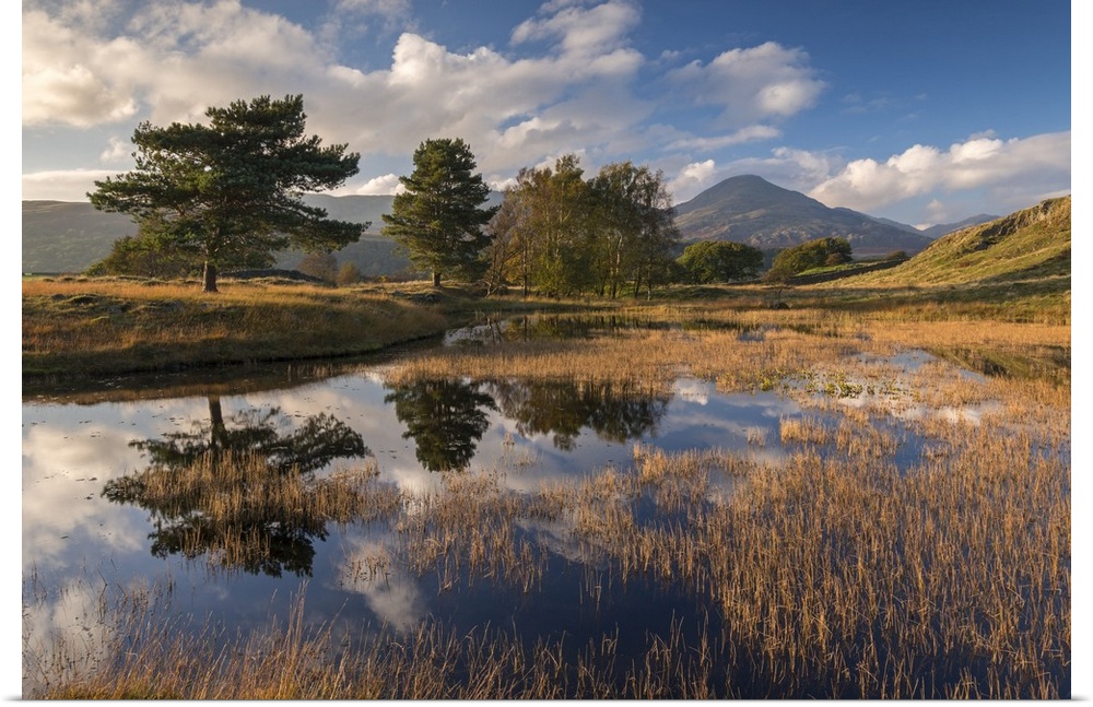 Kelly Hall Tarn and the Coniston Old Man, Lake District, Cumbria, England.  Autumn (October) 2016.