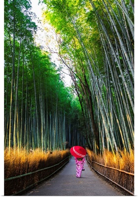 Kyoto, Japan, Woman In Traditional Kimono Walking In The Bamboo Grove At Sunrise