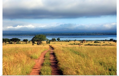 Landscape, Murchison Falls national park, Uganda, East Africa