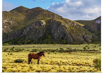 Landscape of Andes, El Manzano Historico, Mendoza Province, Argentina