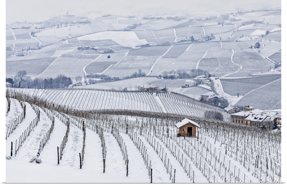 Langhe, Cuneo district, Piedmont, Italy. Langhe wine region winter snow