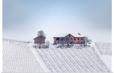 Langhe, Cuneo District, Piedmont, Italy. Langhe Wine Region Winter Snow, Fontanafredda