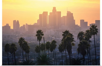 Los Angeles Downtown And Palm Trees At Sunset