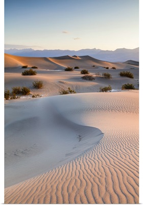 Mesquite Flat Sand Dunes, Death valley National park, California