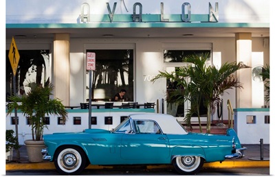 Miami Beach, South Beach, Ocean Drive, Avalon Hotel and 1957 Thunderbird car