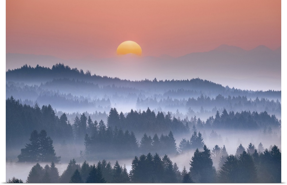 Misty mood in alpine upland. Germany, Bavaria, Upper Bavaria, Garmisch-Partenkirchen, Saulgrub, Bayersoien, Schonberg. Bav...