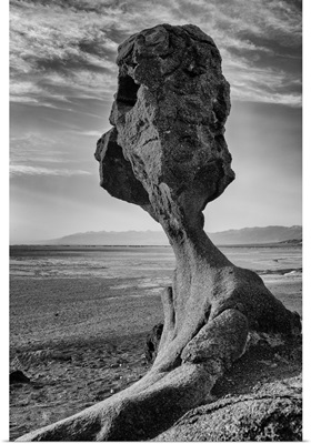 Mushroom Rock, Death Valley National Park, California, Usa