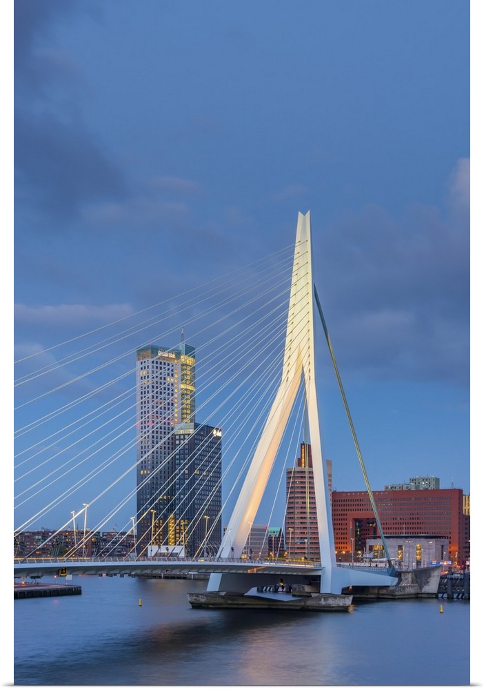 Netherlands, South Holland, Rotterdam, Erasmusbrug, Erasmus Bridge
