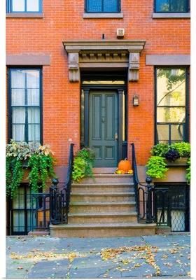 New York, Brooklyn, Brooklyn Heights, Halloween Pumpkins
