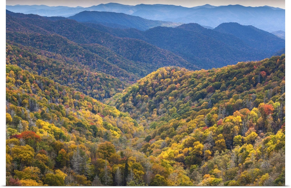 USA, North Carolina, Great Smoky Mountains National Park, autumn panorama from Newfound Gap