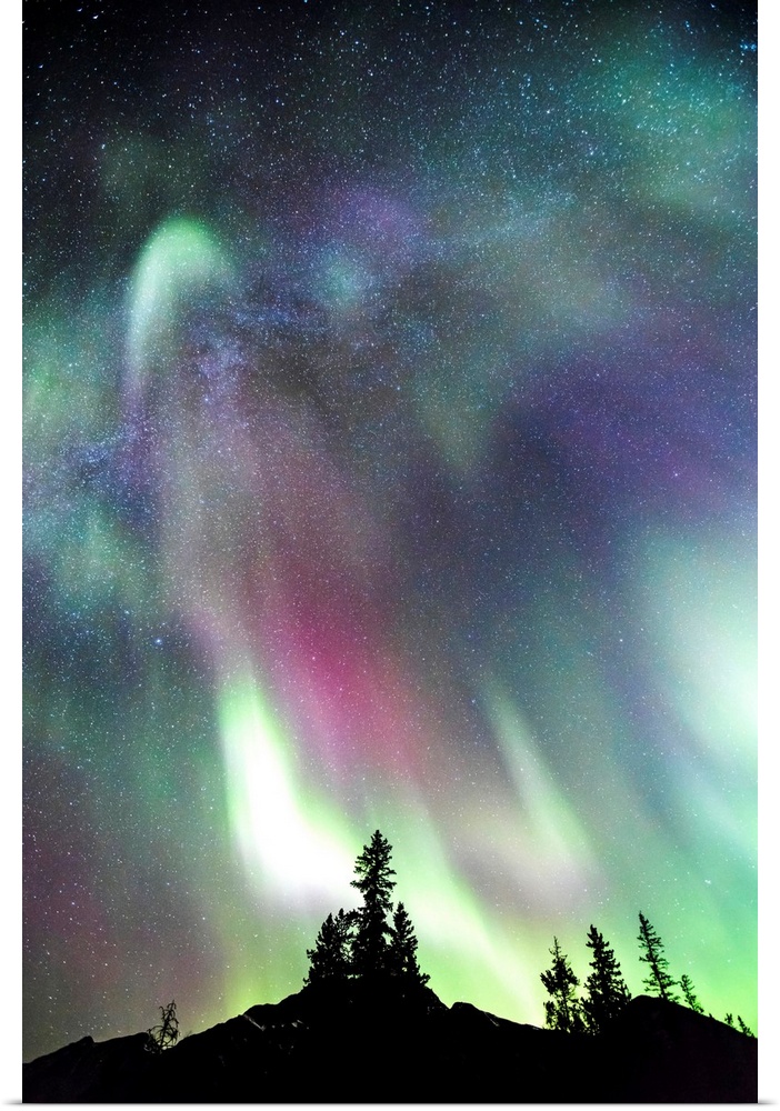 Northern Lights (Aurora Borealis), Jasper National Park, Alberta, Canada