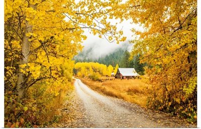 Old Barn In Autumn, Wenatchee National Forest, Washington, USA