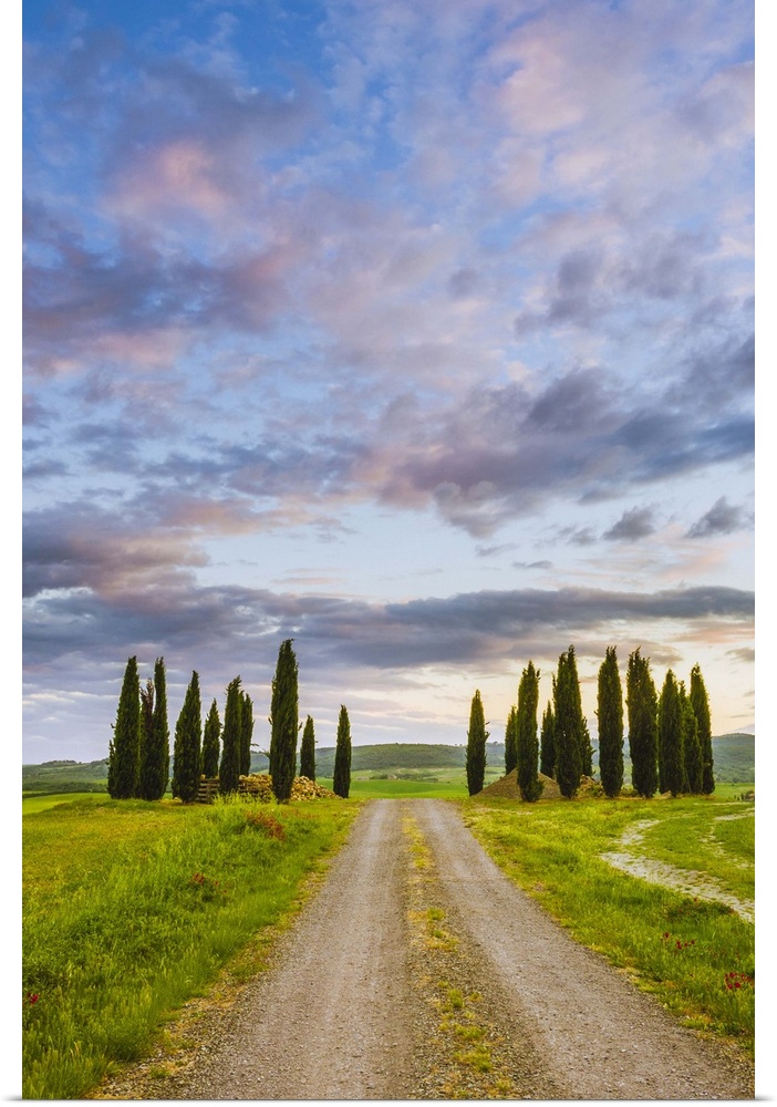 Orcia Valley, Tuscany, Italy. Tuscan hills at sunrise.