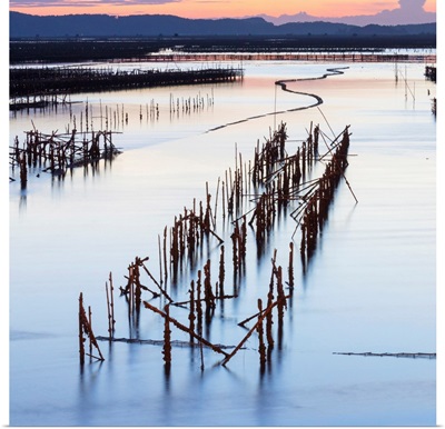 Oyster beds at sunset, Halong Bay, North-East Vietnam, South-East Asia