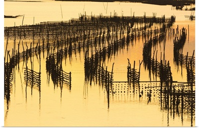 Oyster beds at sunset, Halong Bay, Quang Ninh Province, North-East Vietnam