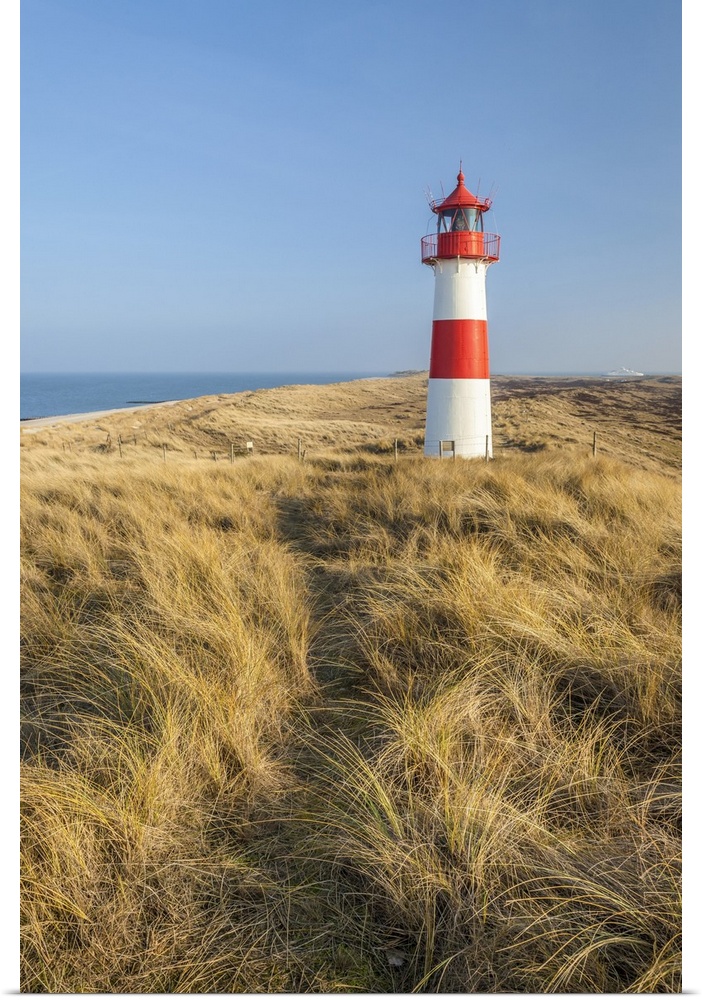 Path on the dune to the List-Ost lighthouse on the Ellenbogen Peninsula, Sylt, Schleswig-Holstein, Germany.
