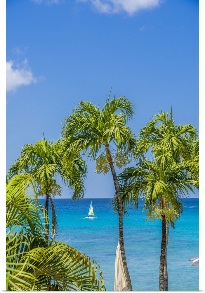Paynes Bay, St James, Barbados, Caribbean