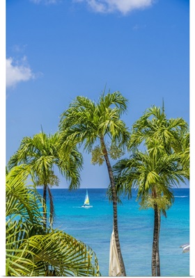Paynes Bay, St. James, Barbados, Caribbean