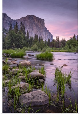Pink Twilight Over The River Merced At Valley View, Yosemite National Park, California