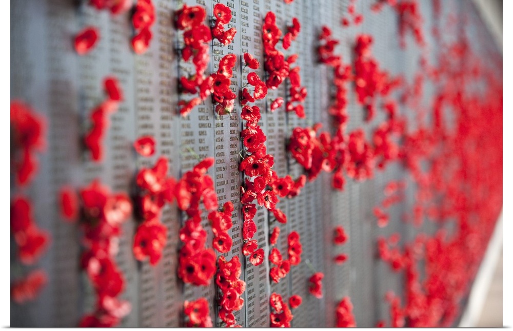 Australia, Australian Capital Territory (ACT), Canberra. Poppies adorning the Roll of Honour walls in the Australian War M...