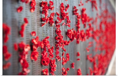 Poppies adorning the Roll of Honour walls in the Australian War Memorial