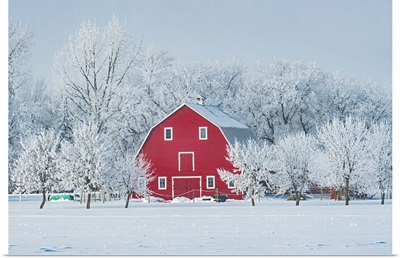 Red Barn With Rime Ice, Grande Pointe Manitoba, Canada