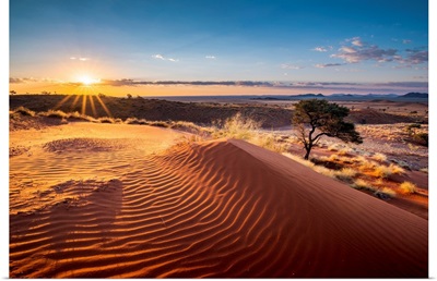 Ripples Of Sand On A Petrified Dune At Sunset, Namib-Naukluft National Park, Africa