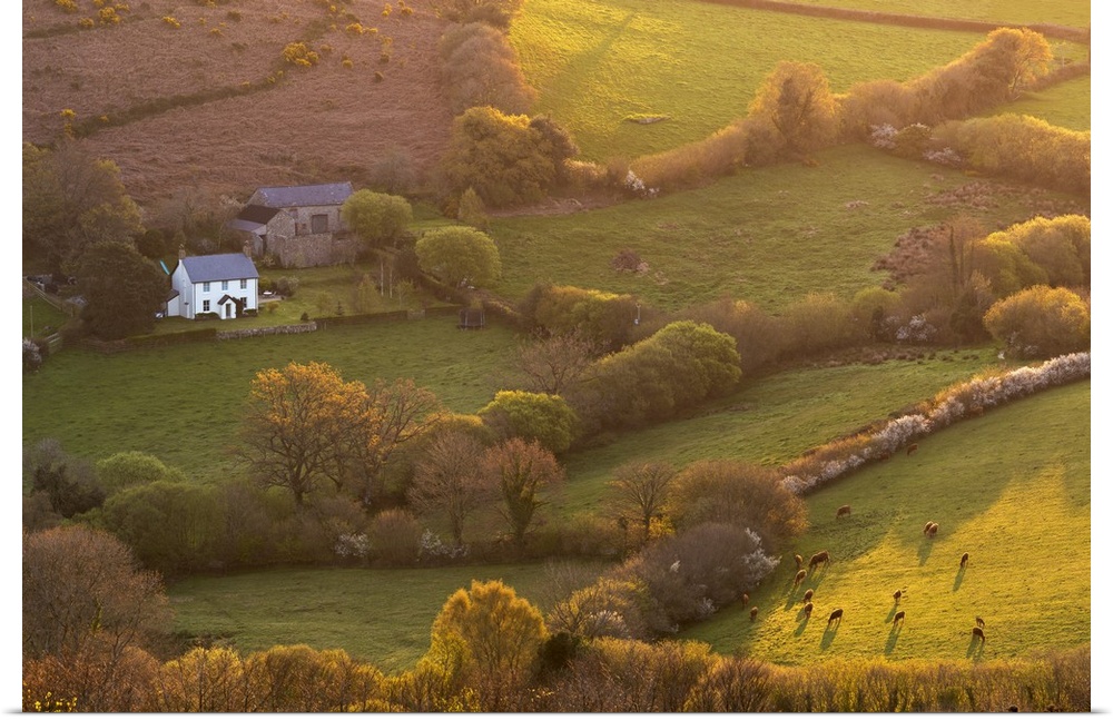 Rural cottage in idyllic countryside surroundings, Dartmoor National Park, Devon, England. Spring (April) 2017.