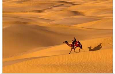 Sam Sand Dunes, Rajasthan, India, Asia