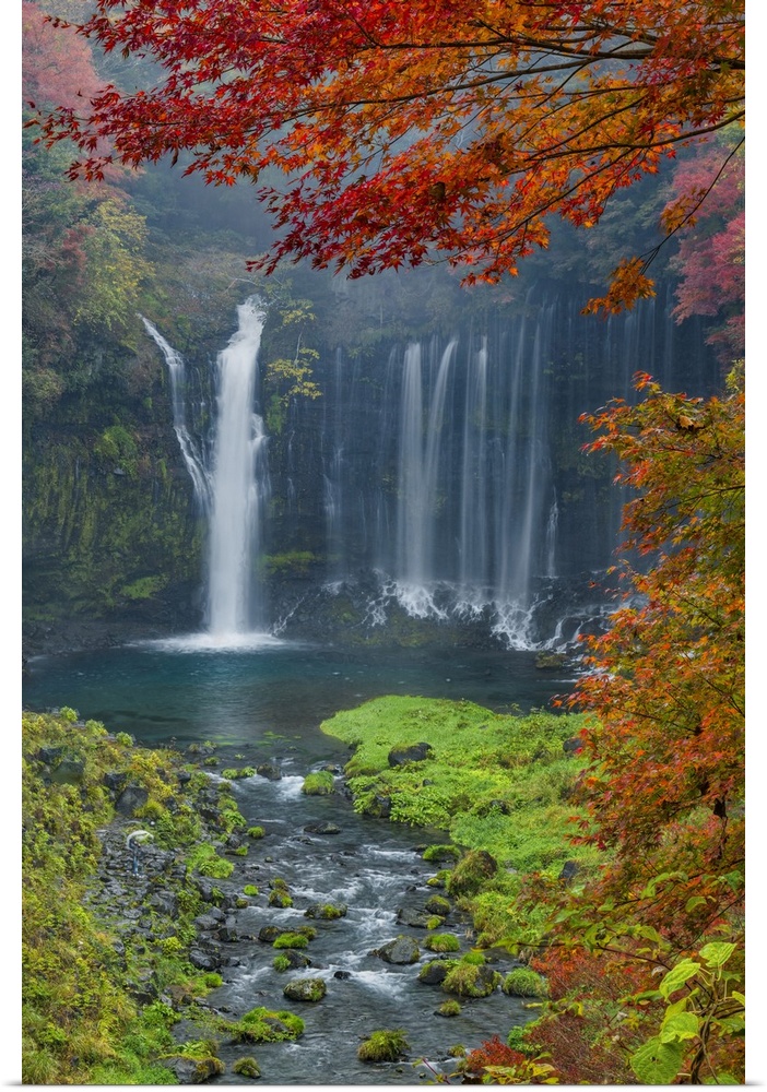 Shiraito Falls In Autumn, Fujinomiya, Shizuoka Prefecture, Japan