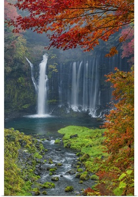 Shiraito Falls In Autumn, Fujinomiya, Shizuoka Prefecture, Japan
