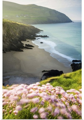 Slea Head, Dingle peninsula, County Kerry, Munster province, Ireland