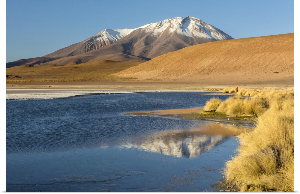 South America, Andes, Altiplano, Bolivia, Laguna Hedionda with Ollague Volcano in the background
