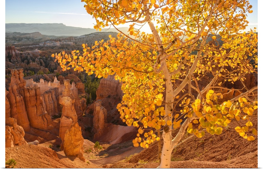 USA, Southwest, Colorado Plateau, Utah, Bryce Canyon, National Park, UNESCO World Heritage.