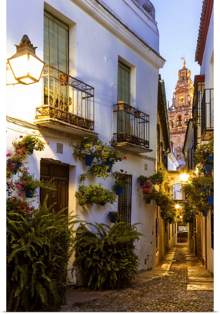 Spain, Andalusia, Cordoba. Calleja de las flores (street of the flowers) in the old town, at dusk