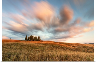 Sunset Near The Iconic Cypresses Of San Quirico d'Orcia, Tuscany, Italy