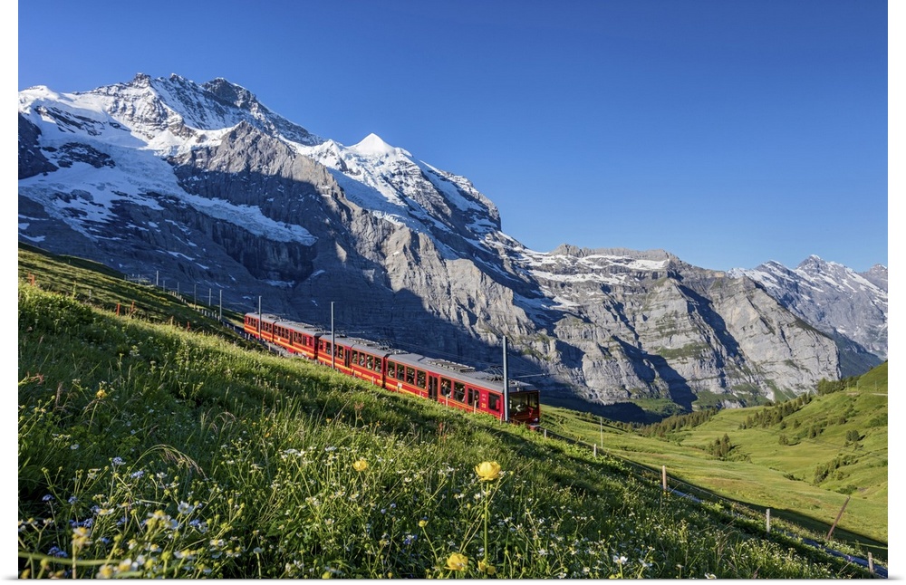 Switzerland, Berner Oberland, Kleine Scheidegg, Jungfraujoch train.