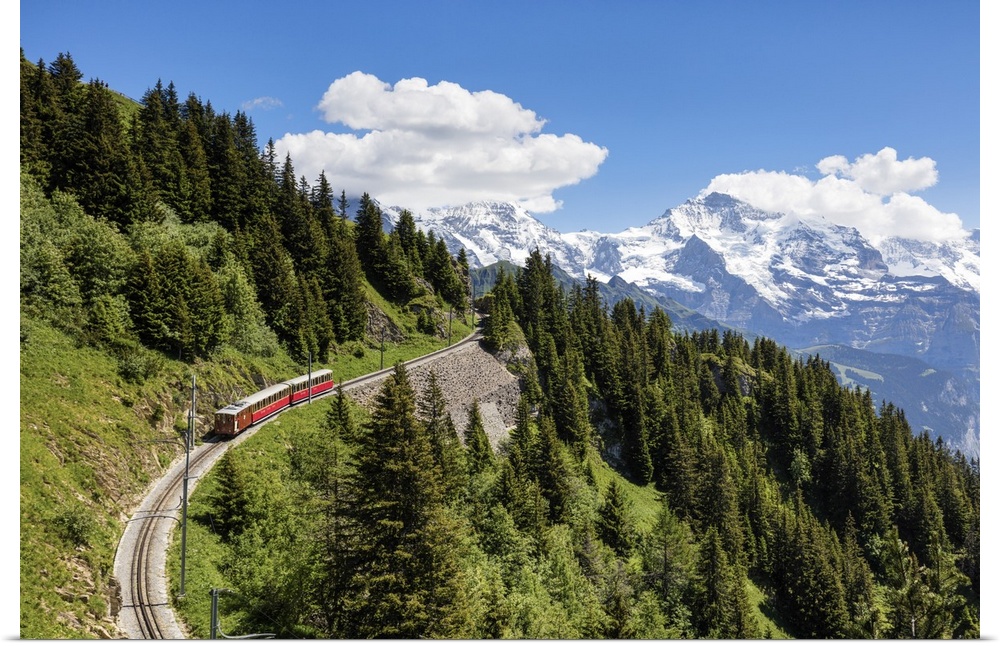 Switzerland, Berner Oberland, Schynige Platte train.