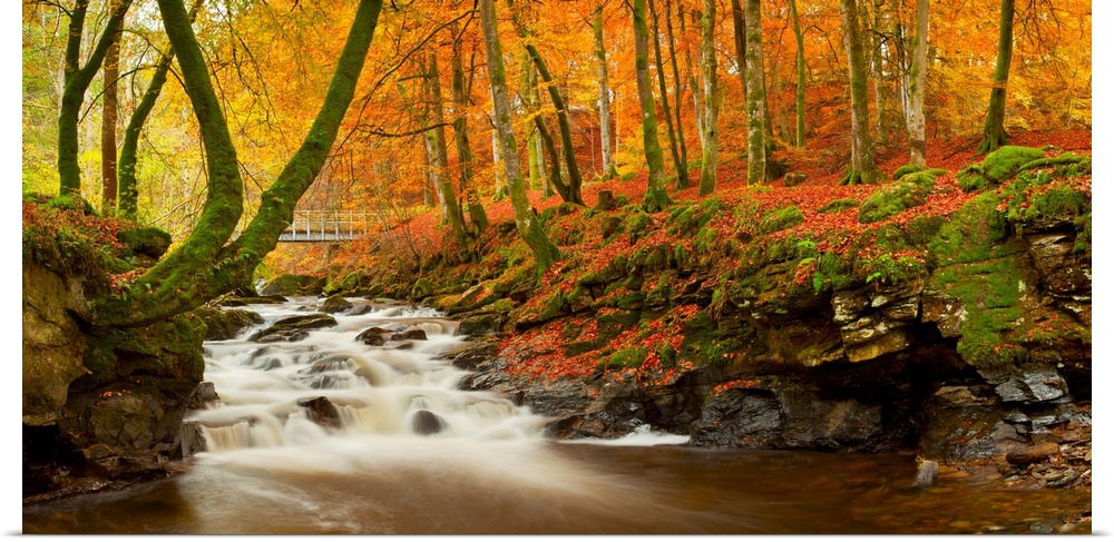 The Birks Of Aberfeldy In Autumn, Aberfeldy, Tayside Region, Scotland