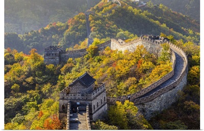 The Great Wall at Mutianyu nr Beijing in Hebei Province, China