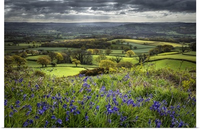 The Marshwood Vale In Spring From Coney's Castle, Dorset, England, UK
