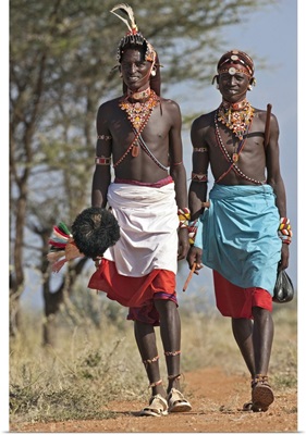 Two Samburu warrior of Northern Kenya in all their finery