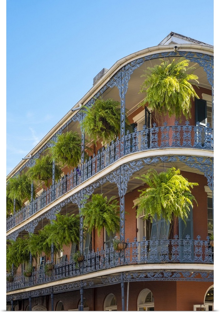 United States, Louisiana, New Orleans. French Quarter balconies on Royal Street.