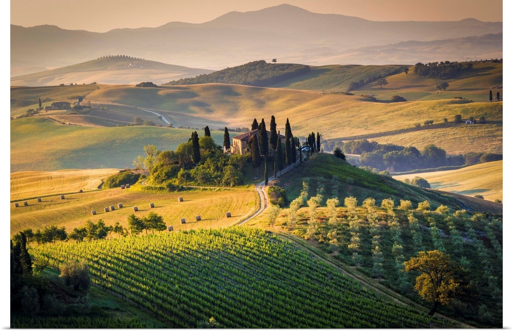 Val d'Orcia, Tuscany, Italy. A lonely farmhouse with cypress and olive trees, rolling hills.