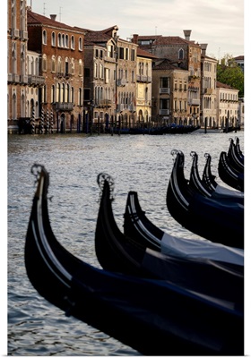 Venice, Veneto, Italy. Gondolas Bows And Grand Canal At Sunset.