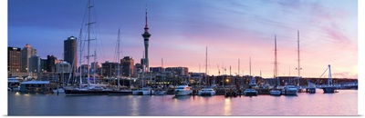 Viaduct Harbour and Sky Tower at sunset, Auckland, North Island, New Zealand