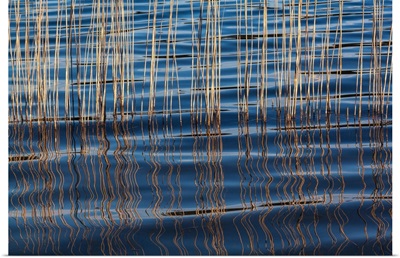 Waves Betweeen A Reed At Idroscalo Lake, Milan, Lombardy, Italy