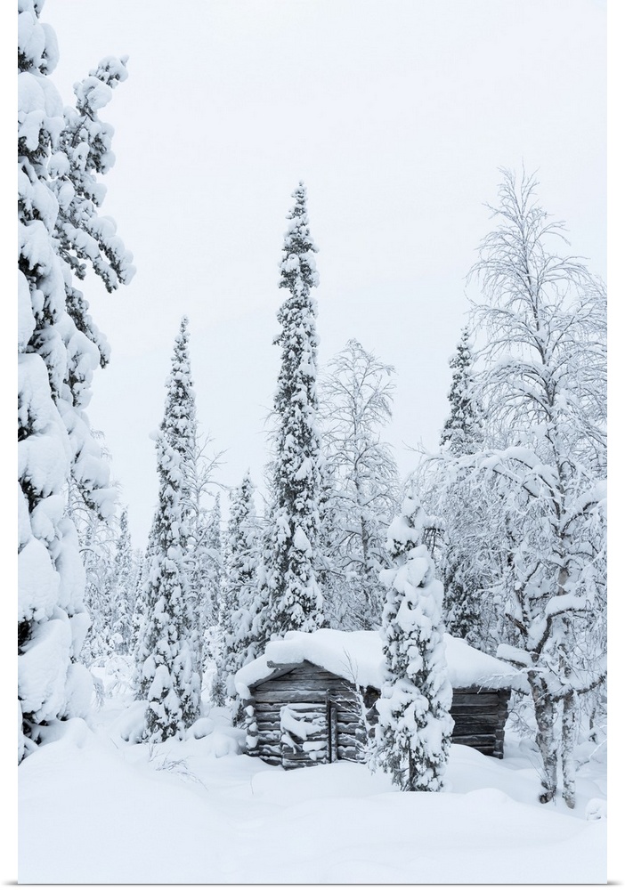 Wooden hut covered with snow in the snowy forest at Pallas-Yllastunturi National Park, Akaslompolo, Muonio, Lapland, Finland