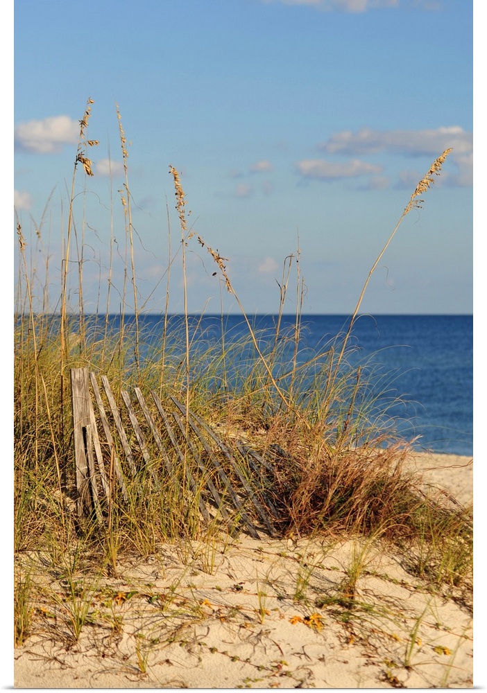 Photograph of tall grass and old wood rails on beach with ocean in the background.  The Florida is cloudy.